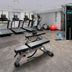 Palestra