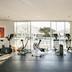 Palestra