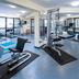 Palestra