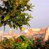 Vista esterna