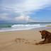 Spiaggia