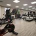 Palestra