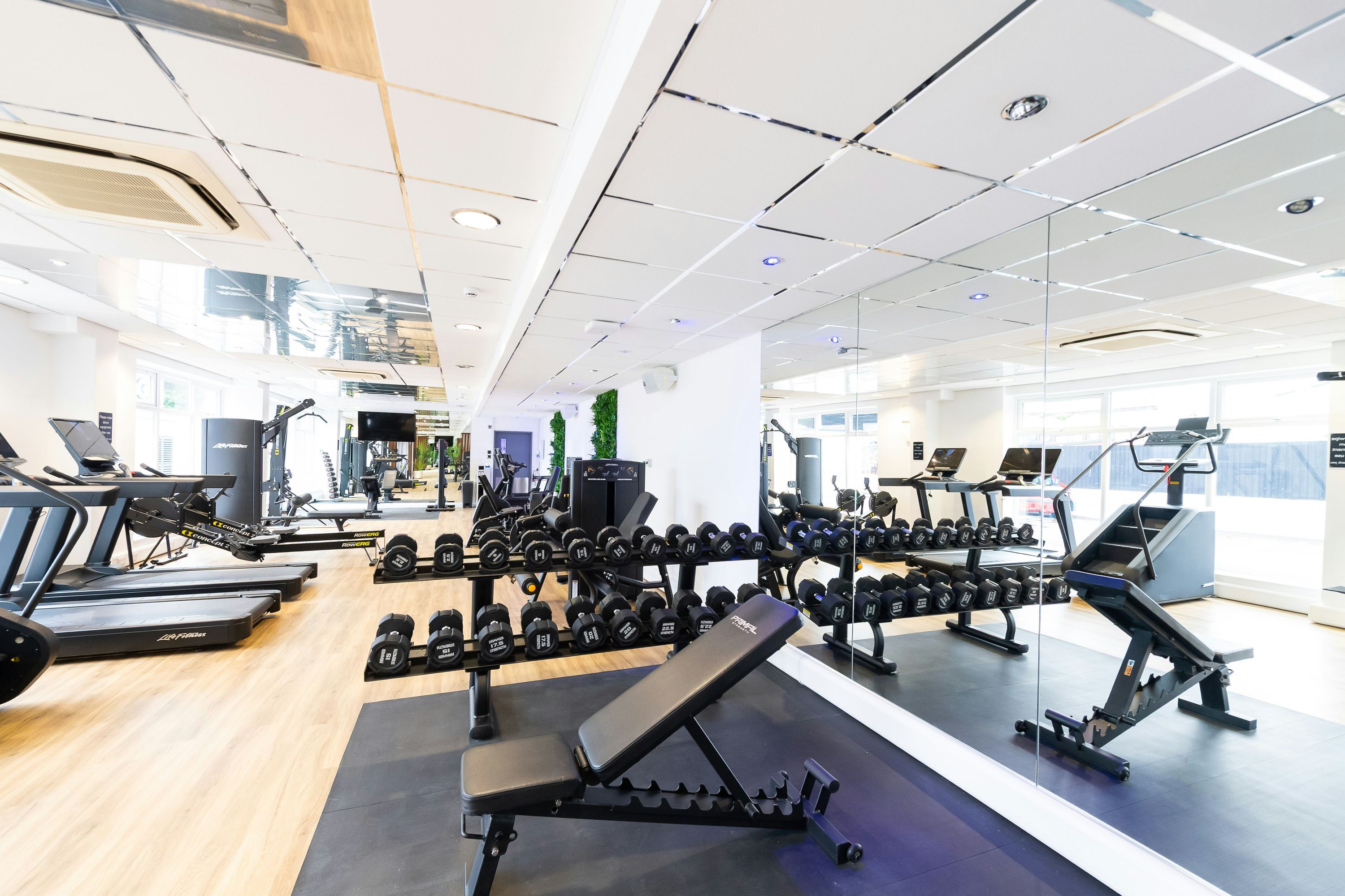 Palestra