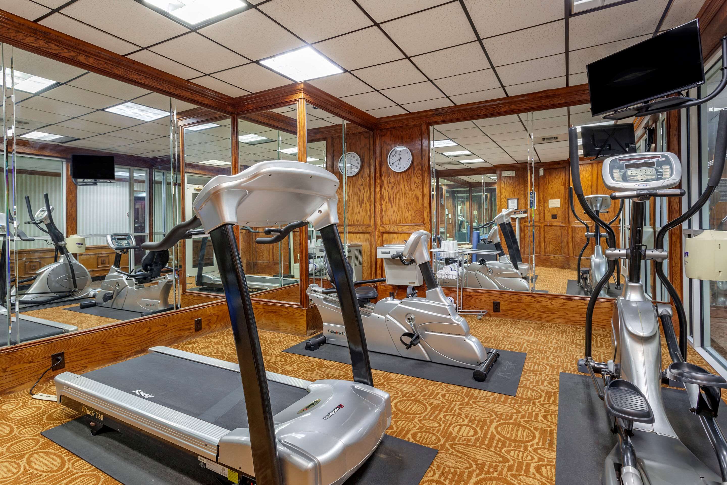 Palestra