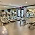 Palestra