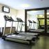 Palestra