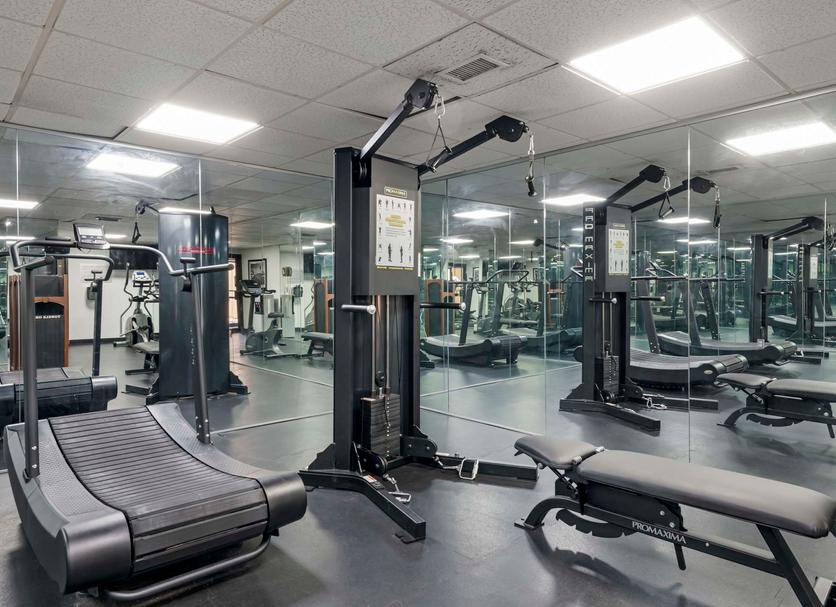 Palestra Foto