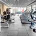 Palestra