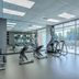 Palestra