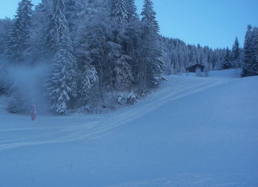 Servizi Foto