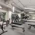 Palestra