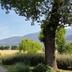 Vista esterna