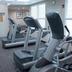 Palestra