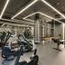 Palestra