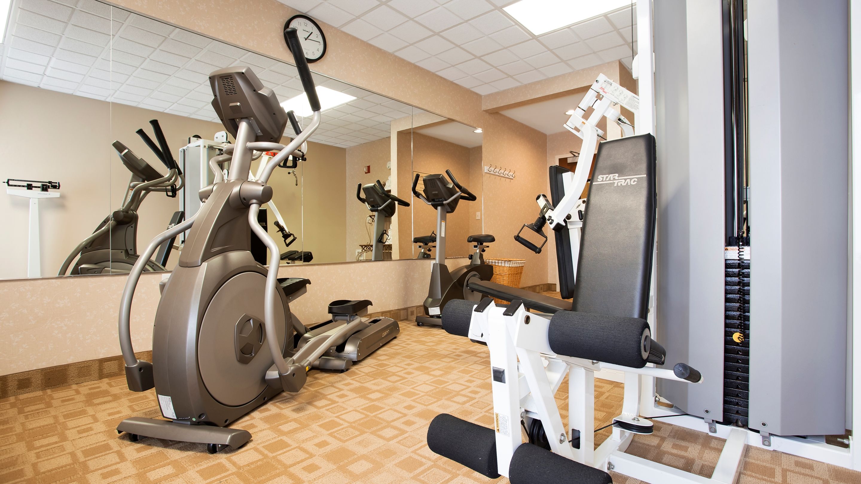 Palestra