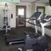 Palestra