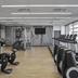 Palestra