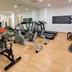 Palestra