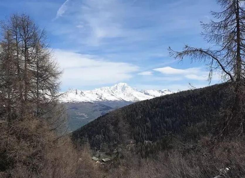 Vista esterna Foto