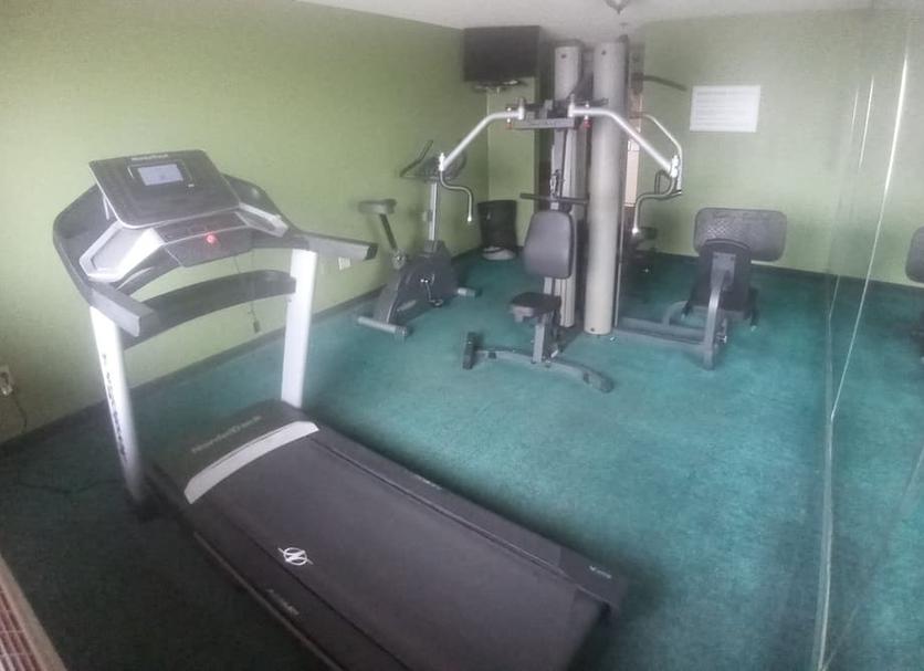 Palestra Foto
