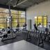 Palestra
