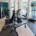 Palestra