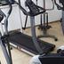 Palestra
