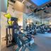 Palestra