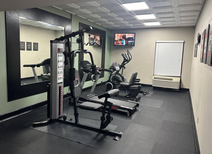 Palestra Foto