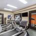 Palestra