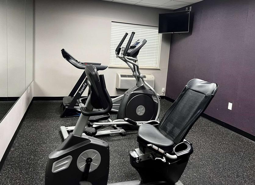 Palestra Foto