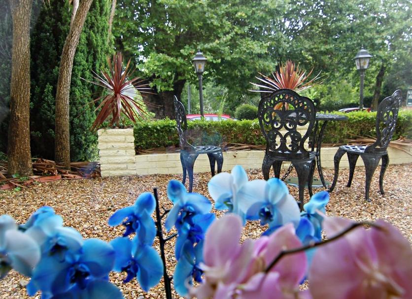 Patio Foto