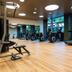 Palestra