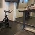 Palestra