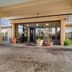 Ingresso