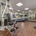 Palestra