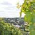Vista esterna