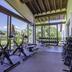 Palestra