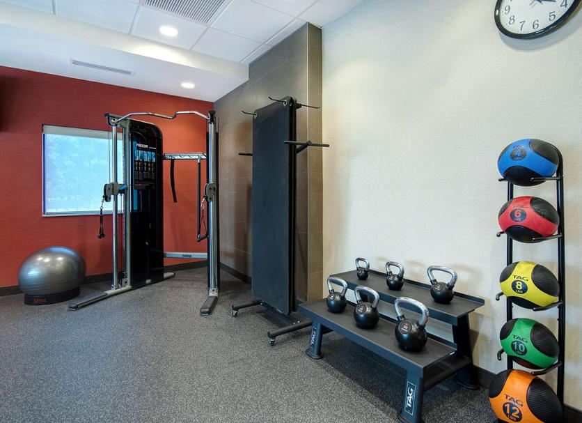 Palestra Foto