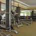 Palestra