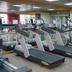 Palestra