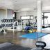 Palestra