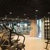 Palestra