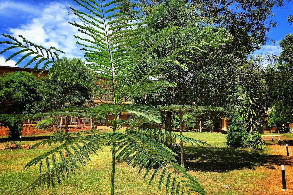 Vista esterna