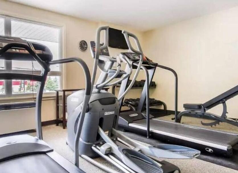Palestra Foto