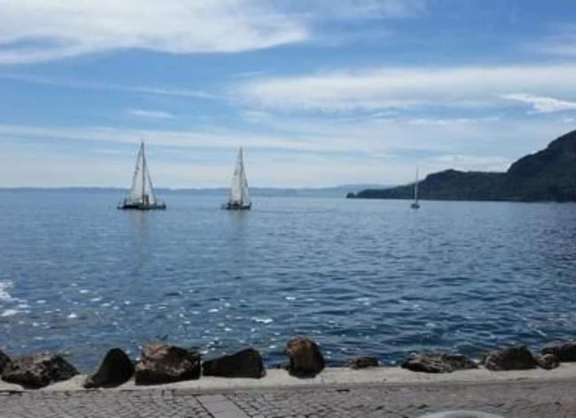 Altro Foto
