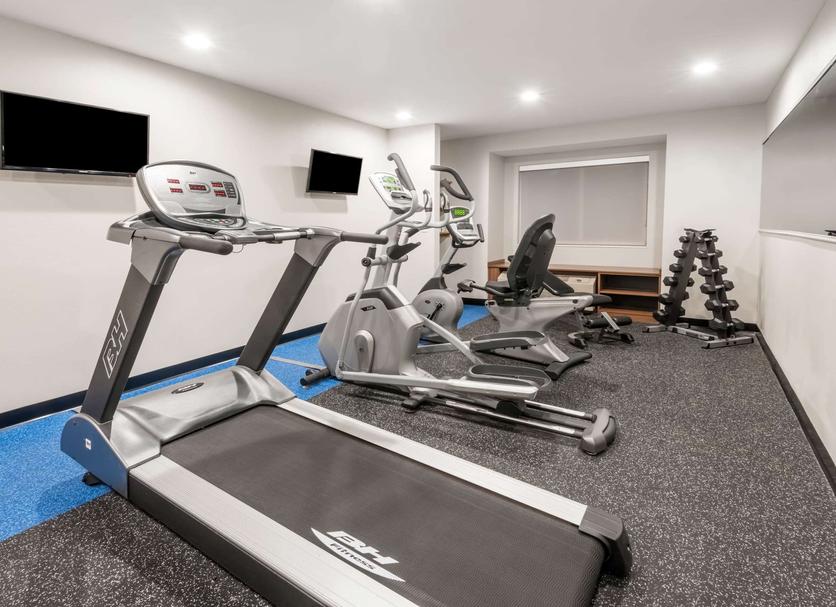 Palestra Foto