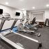 Palestra