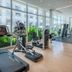 Palestra