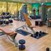 Palestra